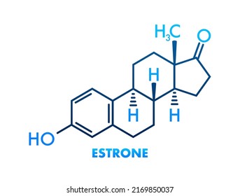 Estrone formula. Estrogens vector chemical formulas. Vector illustration
