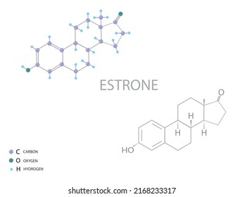Estrone molecular skeletal 3D chemical formula.