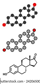 Estrone (oestrone) human estrogen hormone molecule. Conventional skeletal formula and stylized representations.