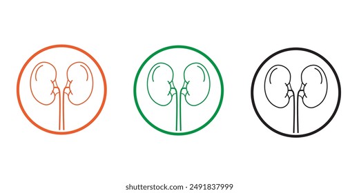 et of human kidney vector icons. Silhouette with internal organs. Outline icons