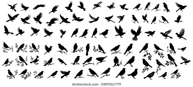 et of silhouette of bird flying. birds hanging on a tree. ornament element vector.