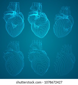 et of vector outlines in the form of a heart examination