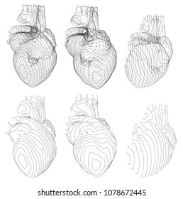 et of vector outlines in the form of a heart examination