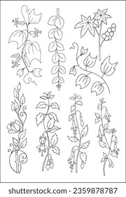 et of vector vegetal botanical decorative elements in black and white, contours and different forms of tropical leaves, silhouettes of leaves.