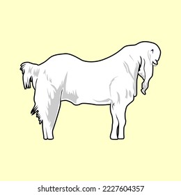 etawa goat vector design eps
