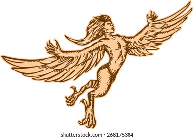 Etching engraving handmade style illustration of a of a harpy, a female mythological creature half human and half bird flying set on isolated white background.  