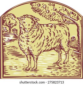 Etching engraving handmade style illustration of a sheep facing front with pasture and trees in the background set inside crest. 