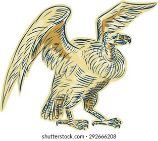 Etching engraving handmade style illustration of a vulture buzzard condor standing viewed from side on isolated white background done in retro style.