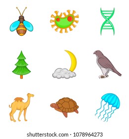 Eternal wildlife icons set. Cartoon set of 9 eternal wildlife vector icons for web isolated on white background