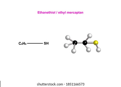 Ethanethiol or ethyl mercaptan structural formula vector design illustration