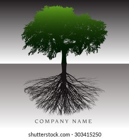 5,347 Root infographic Images, Stock Photos & Vectors | Shutterstock