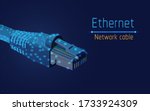 ethernet network cable, socket type rj45,  internet,100mbps and more, web,be always online,connect to computer ,access  to mobile apps, web site, vector illustration, triangle,plexsus,low poly,dot