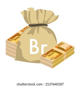 Ethiopian Birr Vector Illustration. Ethiopia money set bundle banknotes. Money bag 50 Br. Flat style. Isolated on white background. Simple minimal design.