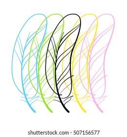 Ethnic feathers. Vector illustration.