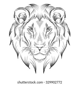 Lion - drawing 2HB pencil by Nunzio Liso on Dribbble