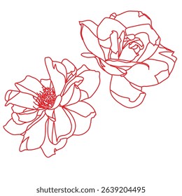 ethnic motif illustration vector floral flower leaf embroidery cordone kordon bug line art monoline two color shoulder motif open work hand work fashion design  woman abstract vector mesh
