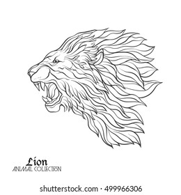 Ethnic patterned ornate hand drawn head of Lion. Black and white doodle vector illustration. Sketch for tattoo, poster, print or t-shirt. Stock line vector illustration.