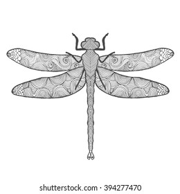 Dragonfly Doodle Sketch Coloringdragonfly Hand Drawing Stock Vector ...