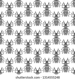 Ethnic small insects ornament pattern. Hand drawn illustration of beetle on a wight background. Vector illustration.