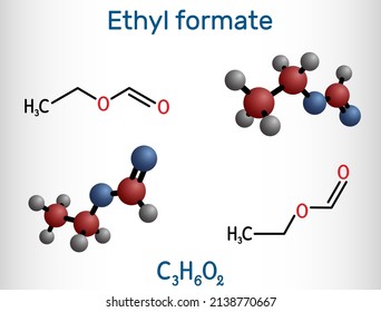 Ethyl formate, ethylformate,  ethyl methanoate, formic ether molecule. It is formate ester derived from formic acid and ethanol. Structural chemical formula, molecule model. Vector illustration