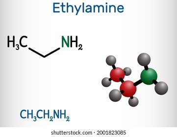 Ethylamine, ethanamine, aminoethane, ethyl amine molecule. It is two-carbon primary aliphatic amine. Structural chemical formula and molecule model. Vector illustration 