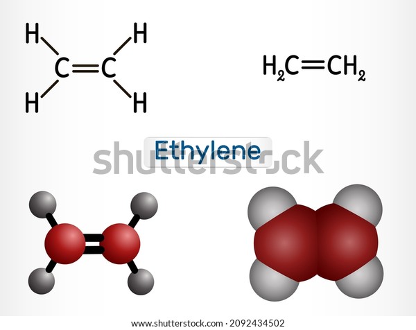 Ethylene Ethane C2h4 Molecule Organic Compound Stock Vector (Royalty ...
