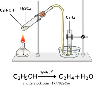Ethylene production by heating ethanol with concentrated sulfuric acid