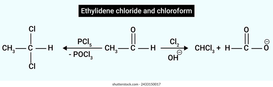 The Ethylidene chloride and chloroform