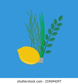 Etrog, lulav hadas and arava for Sukkot festival.