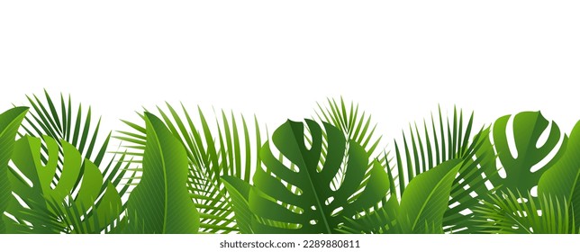eTropical Leves Border Isolated White Background With Gradient Mesh, Vector Illustration