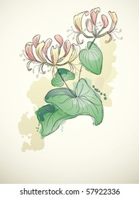 Etruscan Honeysuckle In Watercolor Style