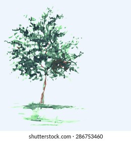 etude, landscape, illustration tree painted by water color paints on the paper