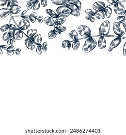 Eucaliptus botánico dibujado a mano borde Anuncio Ilustración vectorial aislada. Plantilla de boceto de Eucaliptus para vela, boda, Navidades, diseño de tarjeta de moda para invitación de fiesta, embalaje. Estilo de grabado