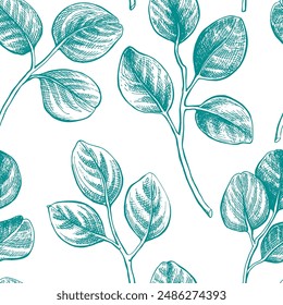 Eucaliptus botanical hand drawn seamless pattern Isolated vector illustration. Eucaliptus sketch symbol for card design, wedding invitation, packaging, wrapping, poster, trendy print. Engraving style