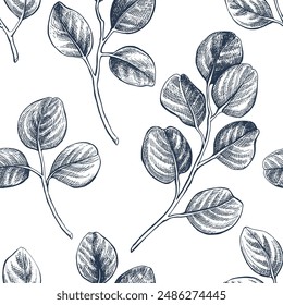 Eucaliptus botanical hand drawn seamless pattern Isolated vector illustration. Eucaliptus sketch symbol for card design, wedding invitation, packaging, wrapping, poster, trendy print. Engraving style