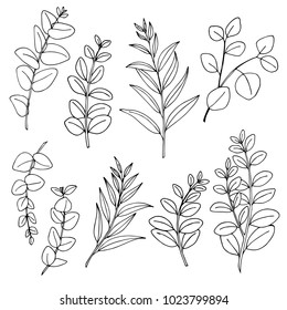 Eucalyptus Line Drawing Stock Illustrations Images Vectors Shutterstock Here presented 49+ eucalyptus leaf drawing images for free to download, print or share. https www shutterstock com image vector eucaliptus branches line art drawing set 1023799894