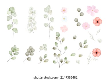 hojas y brunches eucaliptus, ilustración vectorial de flores rojas y rosadas para imágenes prediseñadas