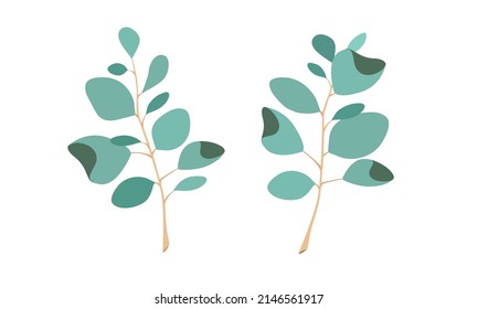 Eucalypt vector leaves on white background, wedding invitation decor, eco design element, natural herb print, isolated spring tree, branch with leaves