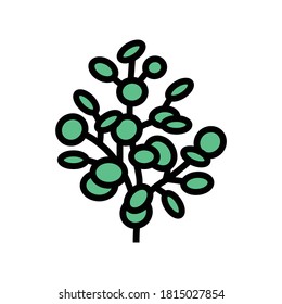 eucalyptus aromatherapy color icon vector. eucalyptus aromatherapy sign. isolated symbol illustration