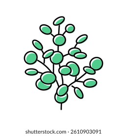 eucalyptus aromatherapy color icon vector. eucalyptus aromatherapy sign. isolated symbol illustration