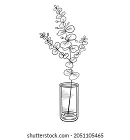 Eucalyptus baby blue branch in a glass. Hand drawn wedding herb, plant with elegant leaves for invitation, save the date card. Trendy vector black and white sketch