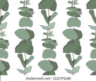 Eucalyptus baby blue, foliage natural branches with green leaves seeds tropical seamless pattern. Vector decorative beautiful elegant illustration white background