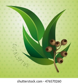 Eucalyptus with background