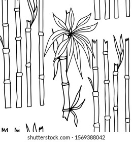 Eucalyptus, bamboo seamless pattern on a white isolated background. Tropical wallpaper, nature, textile print. Vector illustration