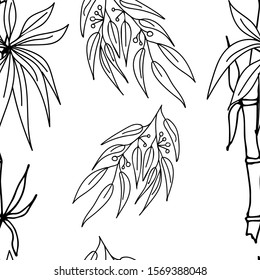 Eucalyptus, bamboo seamless pattern on a white isolated background. Tropical wallpaper, nature, textile print. Vector illustration