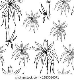 Eucalyptus, bamboo seamless pattern on a white isolated background. Tropical wallpaper, nature, textile print. Vector illustration