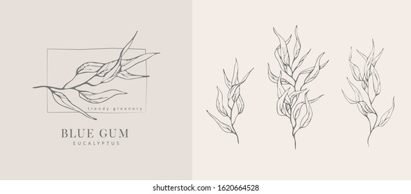 Eucalyptus blue gum logo and branch. Hand drawn wedding herb, plant and monogram with elegant leaves for invitation save the date card design. Botanical rustic trendy greenery vector illustration