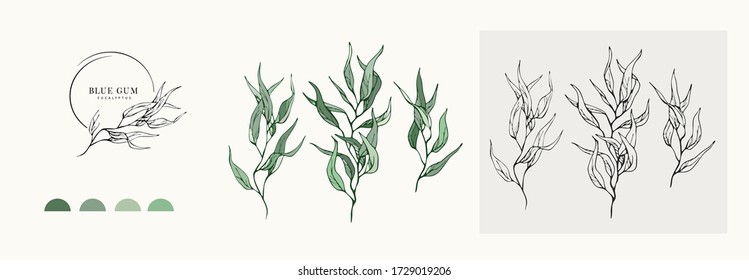 Eucalyptus blue gum logo and branch. Hand drawn wedding herb, plant and monogram with elegant leaves for invitation save the date card design. Botanical rustic trendy greenery vector illustration