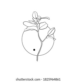 La rama de eucalipto en círculo. Dibujo de línea. Ilustración en blanco y negro. Vector.