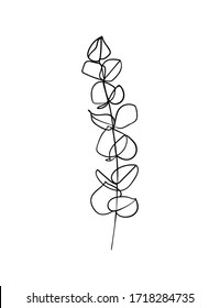 Eucalyptus branch continuous line drawing. - Vector illustration